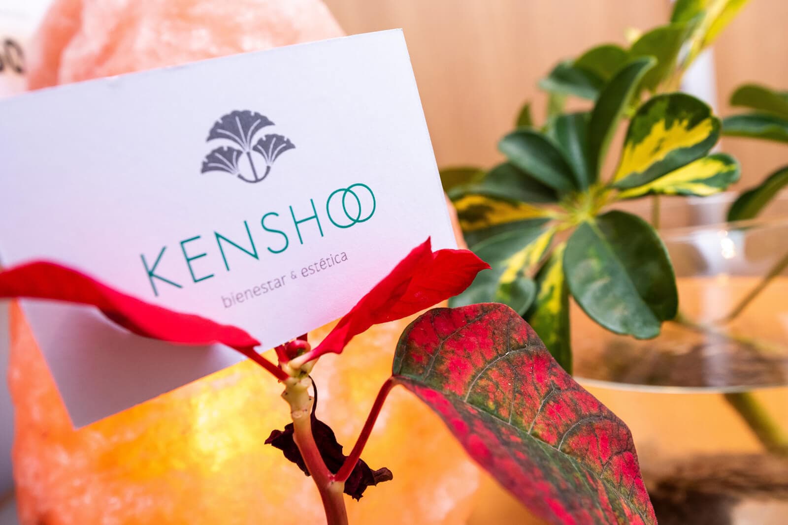 ¿Qué es Kensho?